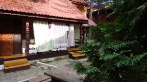 Гостевой дом "Сосновый бор",  Геленджик