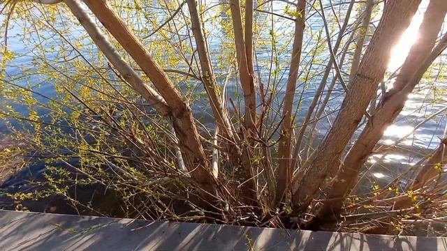 Екатеринбург в апреле.#Екатеринбург #прогулкавыходногодня #