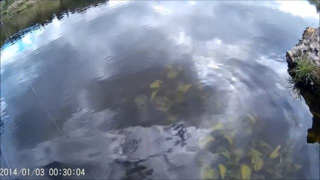 Рыбалка в Калининграде и области \\\\ Правдинск смотреть онлайн