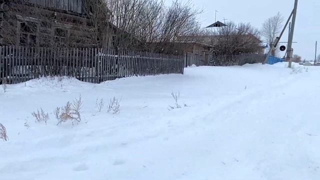 АСМР мини "VLOG" с деревни ?Хруст снега, триггеры | ASMR MINI VLOG village RUSSIA ?? snow crunch
