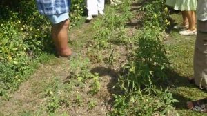 Б.А.Бублик. В гостях у мастера: ЭМ силос