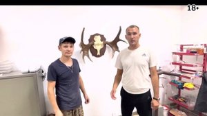 Как правильно разделать шкуру медведя. Совет таксидермиста.