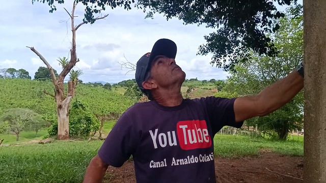 GANHEI UM POSTE DO MEU PRIMO | PARA BOTAR NA CASA DE NAEL E PATRÍCIA! смотреть онлайн