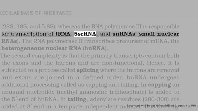 CLASS XII BIOLOGY CHAPTER 6 MOLECULAR BASIS OF INHERITANCE NCERT READING смотреть онлайн