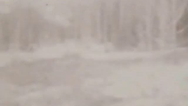 Тамара Миансарова Где-то багульник на сопках цветёт