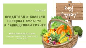 Лекция «Вредители и болезни овощных культур в защищенном грунте».