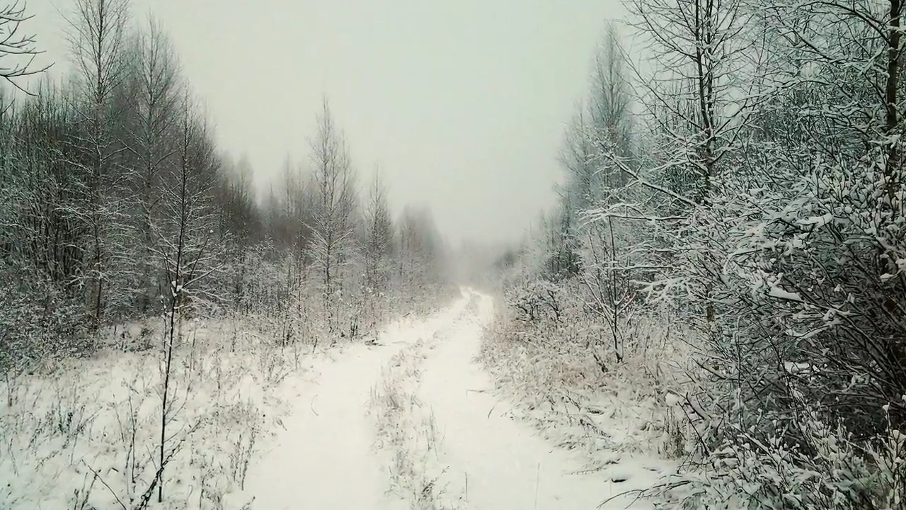 Чародейкою зимой. Тютчев Чародейкою зимою. Раскраска Чародейкою зимою околдован лес стоит. Застыл зимний лес кажется заколдовала его Чародейка зима. Пурга слушать