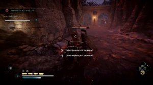 Assassin's Creed Valhalla. Испытание мастерства. Таинственная наставница Хильдеран.