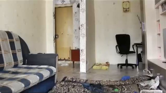 Пёс один дома смотреть онлайн