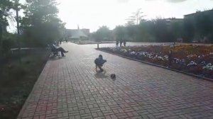 Мой друг упал со скейта. Топ падений со скейтов.