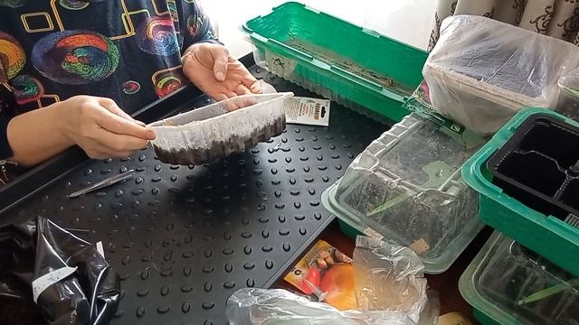 Посев семян на рассаду.Деревенская еда. смотреть онлайн