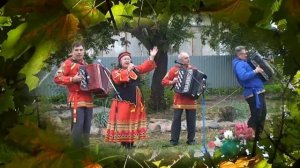 БЕЗ ВИНЫ ВИНОВАТА