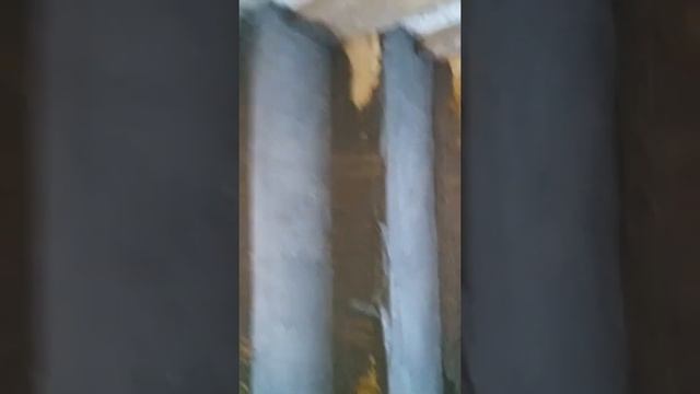 Лесинса смотреть онлайн