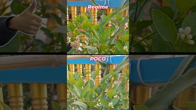 Under 12K Best Phone 5G/4G | Realme C55 vs poco M4 5G #bestphoneunder12k смотреть онлайн