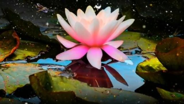 Шербургские зонтики. Поль Мариа. смотреть онлайн