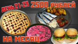 Выживаю месяц на 2500 рублей. День 21-23.