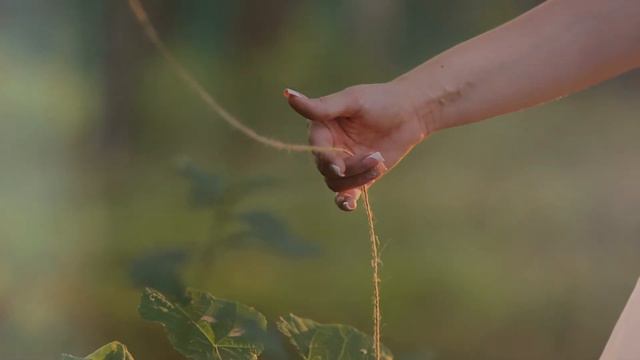 Радужная свадьба Юли и Леши 13 09 2014 смотреть онлайн