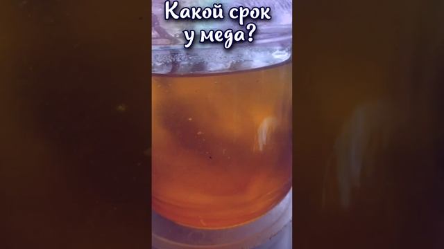 Какой срок годности у меда? #shorts