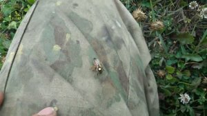 Матководство или С чем сталкиваются матководы