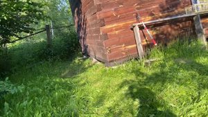 ЧТО БУДЕТ ЕСЛИ ДАТЬ 100 ДОЛЛАРОВ МУРАВЬЮ?! ПРОВЕРИЛ НА СЕБЕ