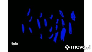 Сравнение Размеров Вселенной