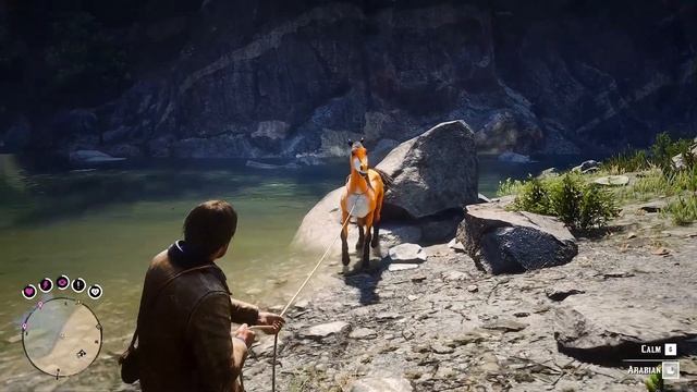 Arthur trying to catch a Fox ? Horse - Red Dead Redemption 2 Gameplay смотреть онлайн