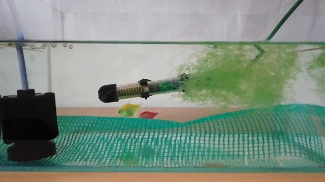 Нерест тернеций гло фиш смотреть онлайн