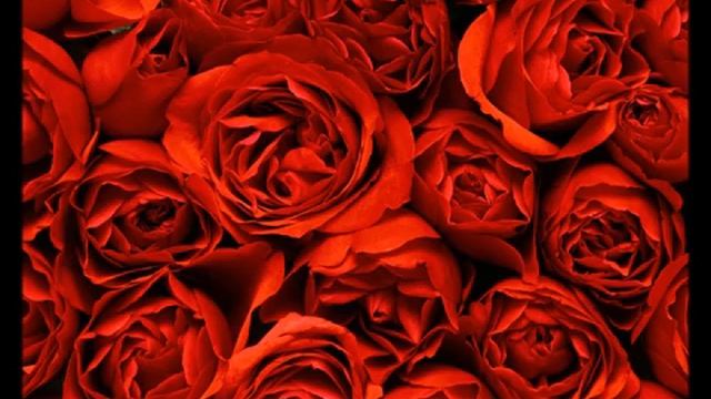 Красные розы для грустной дамы..mp4 смотреть онлайн