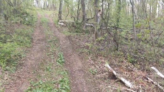 Тархов Холм-Эверест Ярославской области.Восхождение. смотреть онлайн