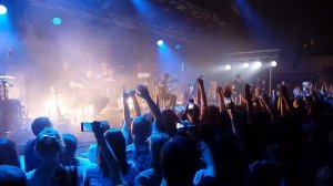 Звери акустика Минск 1.06.2017 - на бис!!!