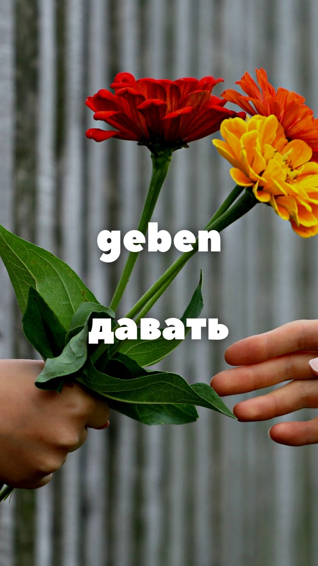 Geben - Давать. Учим вместе немецкие слова