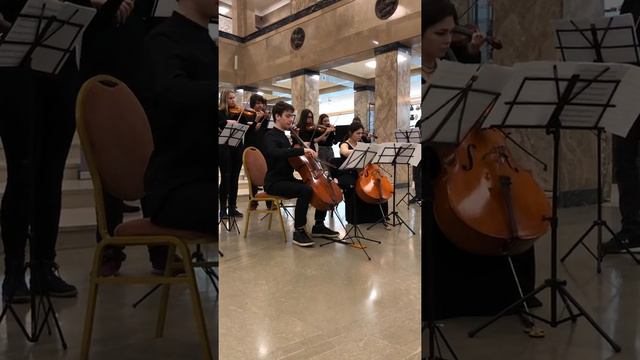 Vivaldi Concerto for 2 cellos in g mol