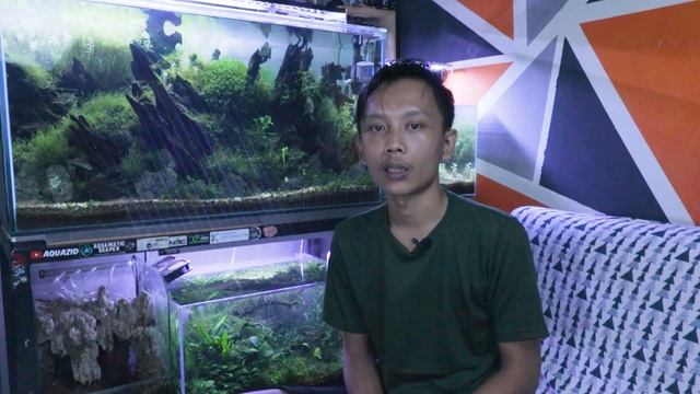 Istilah dalam Aquascape смотреть онлайн