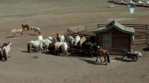 Записки геодезиста: Зарисовки монгольской степи