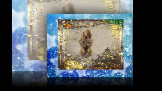 Новый год  Обезьянки  Круто! смотреть онлайн