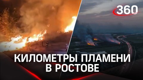 Леса под Ростовом-на-Дону могли поджечь: пламя распространилось на 60 га, его с трудом локализовали