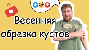 Весенняя обрезка смородины