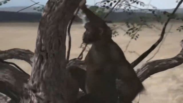 Эволюция Человечества (кратко) смотреть онлайн