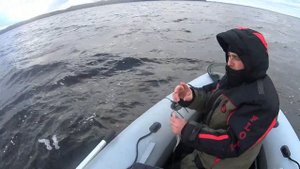 Ловля осеннего Берша на тюльку в отвес!