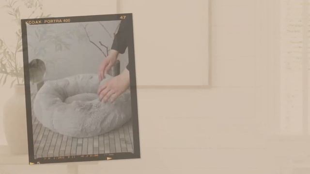 Видео-обзор Серой Лежанки Dr. Dog! смотреть онлайн