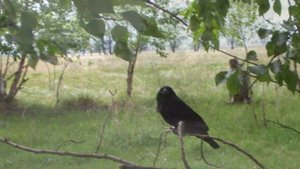 Казахстан,Глазуновка,Кустанайский район