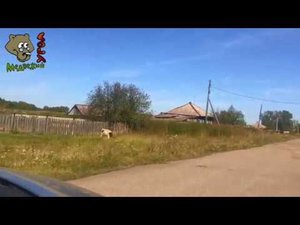 Обзор деревни Малиновка