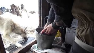 6 Часть . Промысел в тайге 2015! Рыбалка и охота.