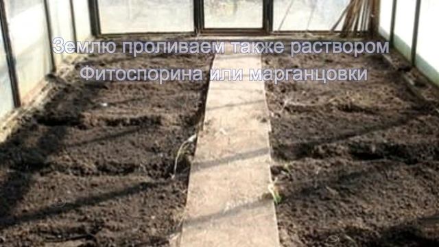 Обработка теплицы осенью смотреть онлайн