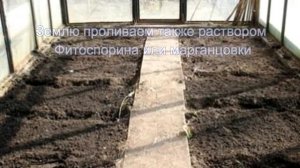 Обработка теплицы осенью