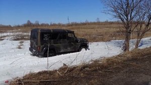 Уаз зверь двс 1UZ