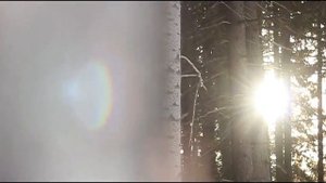 Природа ближе, чем вы думаете, Свердловская область