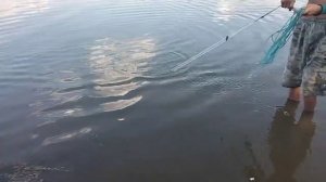 Рыбалка на кастинговую сеть 3 августа 2021.Ловим уклейку.