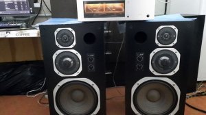 Luxman 5m21 Coral X-VII