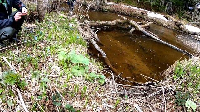 Дикая мальма и кунджа клюет как из аквариума смотреть онлайн